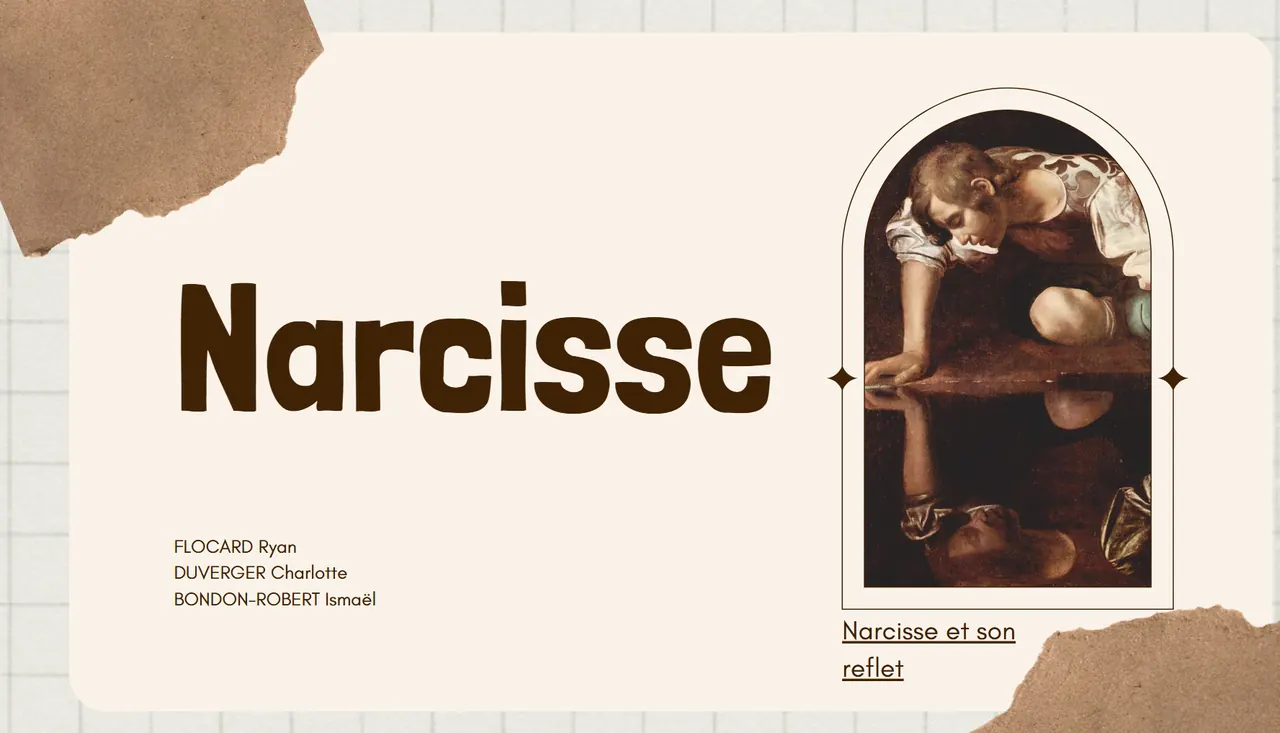 Identité visuelle du Projet Narcisse